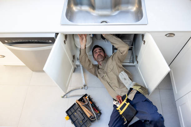 Best Septic Systems  in Forestville, OH