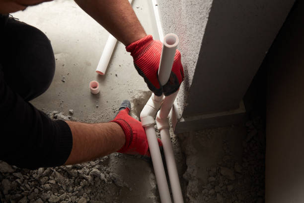 Best Plumbing Repair Near Me  in Forestville, OH