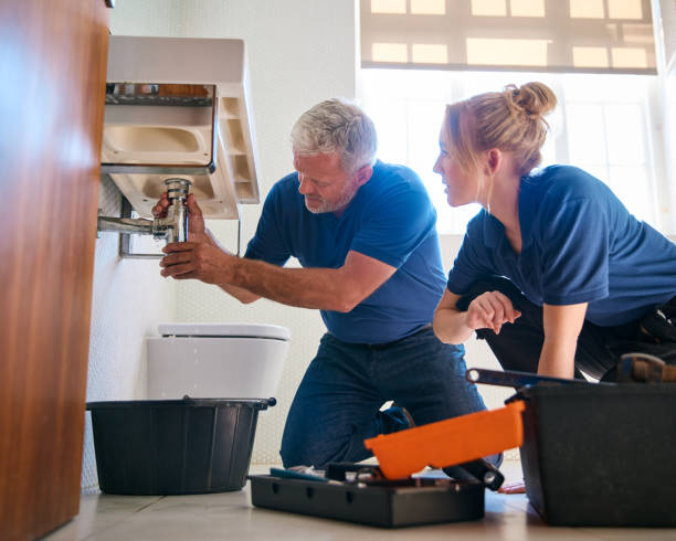 Best Faucet Repair  in Forestville, OH